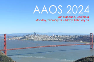 ＡＡＯＳ2024レポート
